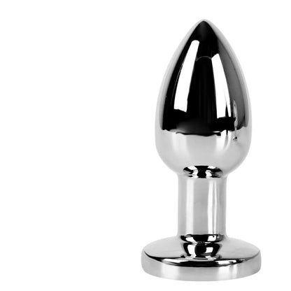 Metal Anal Plug + Wireless Vibrator